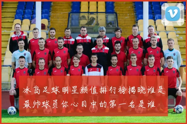 冰岛足球明星颜值排行榜揭晓谁是最帅球员你心目中的第一名是谁