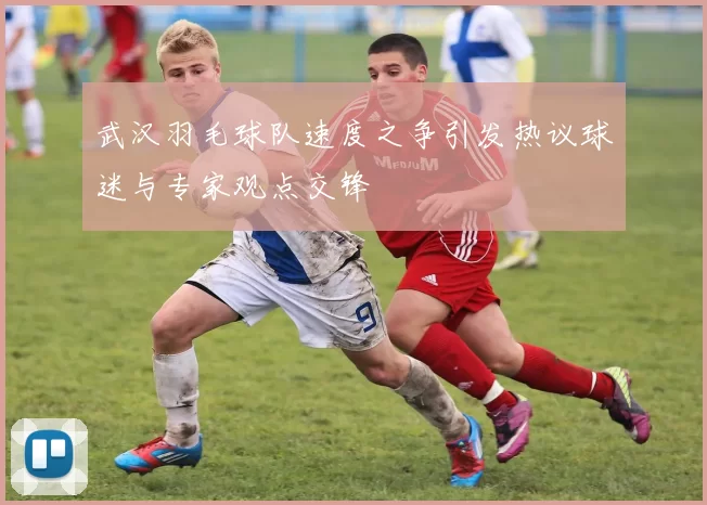 武汉羽毛球队速度之争引发热议球迷与专家观点交锋