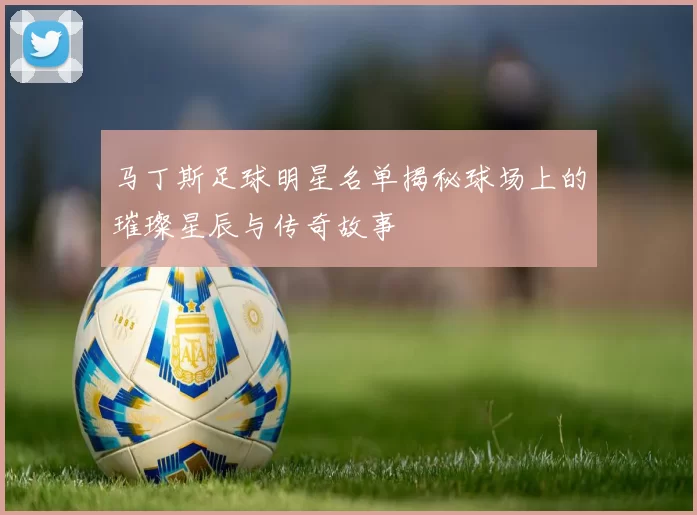 马丁斯足球明星名单揭秘球场上的璀璨星辰与传奇故事