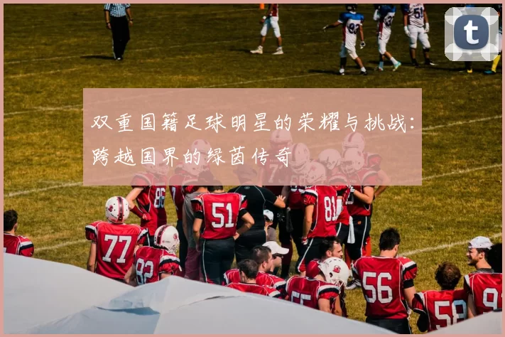 双重国籍足球明星的荣耀与挑战：跨越国界的绿茵传奇