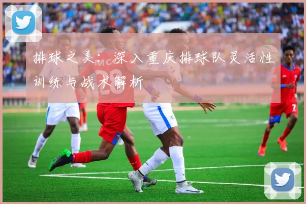 排球之美：深入重庆排球队灵活性训练与战术解析