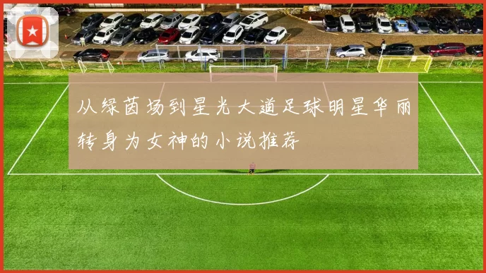 从绿茵场到星光大道足球明星华丽转身为女神的小说推荐