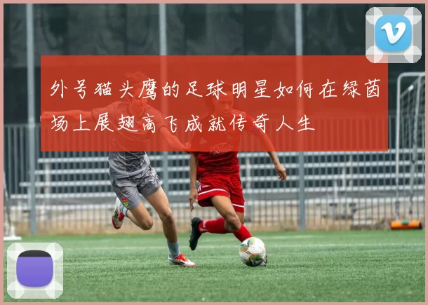 外号猫头鹰的足球明星如何在绿茵场上展翅高飞成就传奇人生