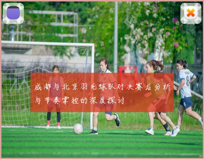 成都与北京羽毛球队对决赛后分析与节奏掌控的深度探讨