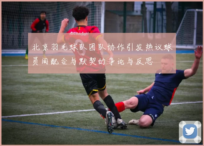 北京羽毛球队团队协作引发热议球员间配合与默契的争论与反思