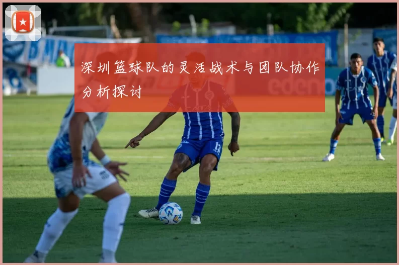 深圳篮球队的灵活战术与团队协作分析探讨