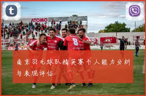 南京羽毛球队精英赛个人能力分析与表现评估