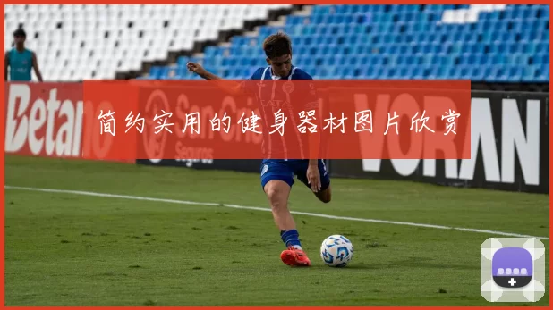 简约实用的健身器材图片欣赏