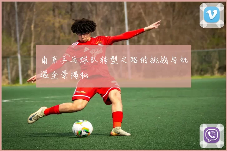 南京乒乓球队转型之路的挑战与机遇全景揭秘