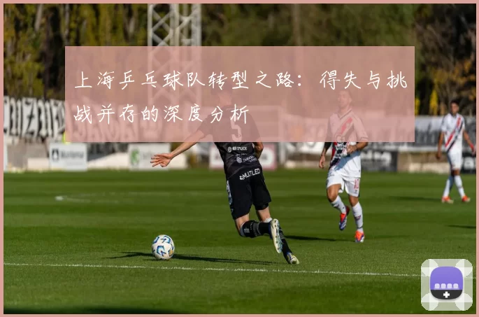 上海乒乓球队转型之路：得失与挑战并存的深度分析