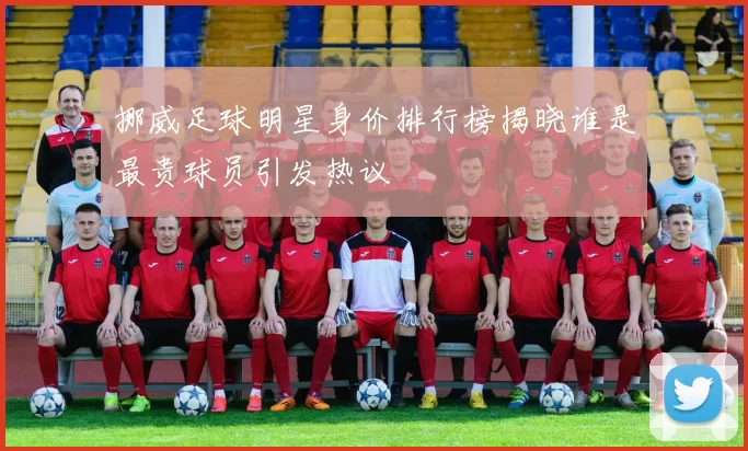 挪威足球明星身价排行榜揭晓谁是最贵球员引发热议
