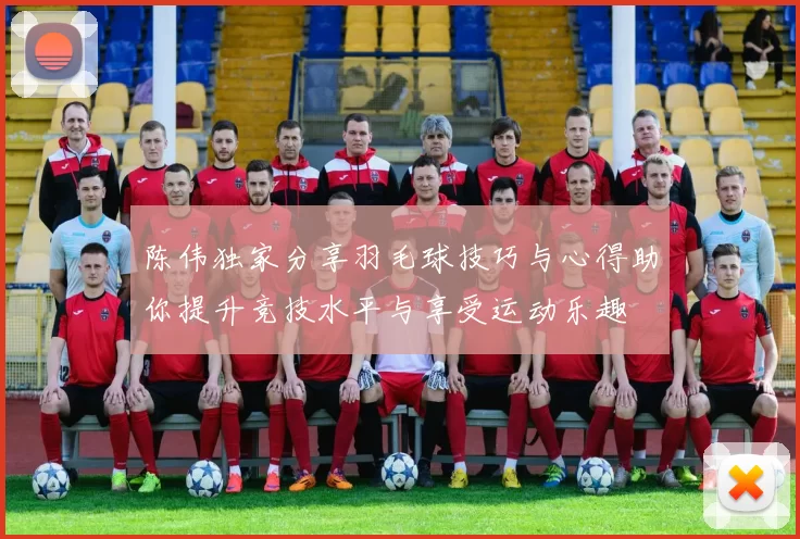 陈伟独家分享羽毛球技巧与心得助你提升竞技水平与享受运动乐趣