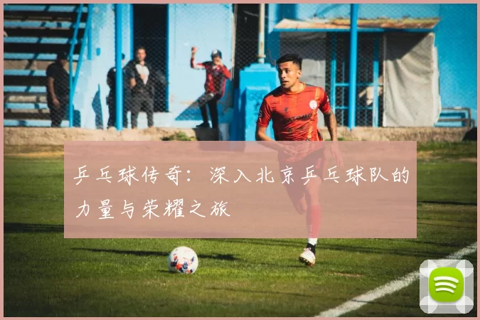 乒乓球传奇：深入北京乒乓球队的力量与荣耀之旅