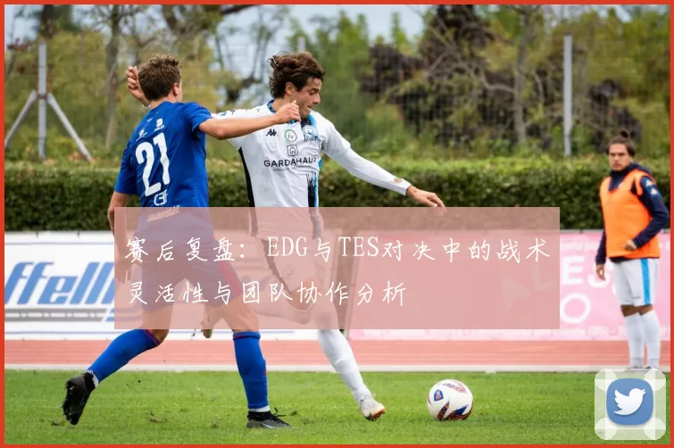 赛后复盘：EDG与TES对决中的战术灵活性与团队协作分析