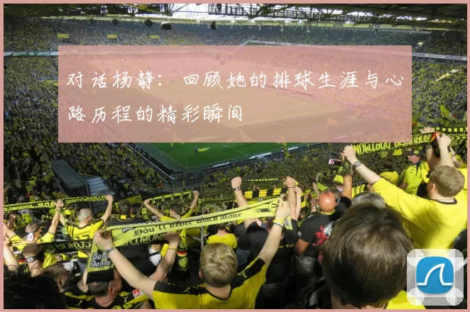 对话杨静：回顾她的排球生涯与心路历程的精彩瞬间