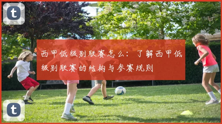 西甲低级别联赛怎么：了解西甲低级别联赛的结构与参赛规则