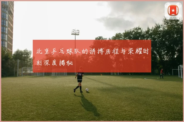 北京乒乓球队的拼搏历程与荣耀时刻深度揭秘