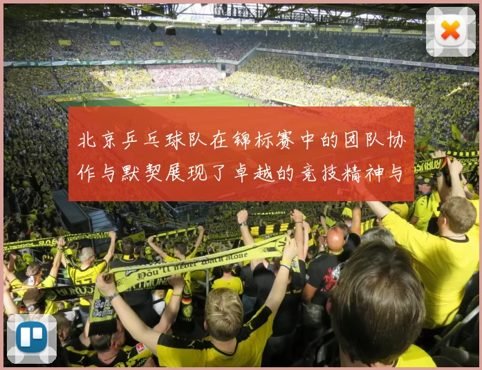北京乒乓球队在锦标赛中的团队协作与默契展现了卓越的竞技精神与团结力量