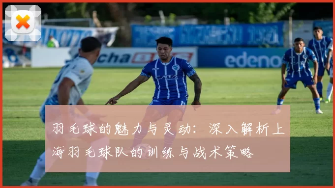 羽毛球的魅力与灵动：深入解析上海羽毛球队的训练与战术策略