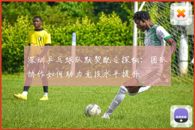 深圳乒乓球队默契配合探秘：团队协作如何助力竞技水平提升