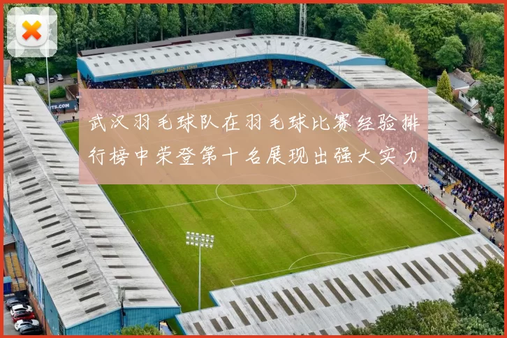 武汉羽毛球队在羽毛球比赛经验排行榜中荣登第十名展现出强大实力与潜力