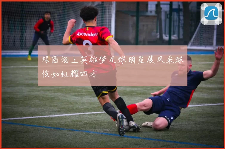 绿茵场上英雄梦足球明星展风采球技如虹耀四方