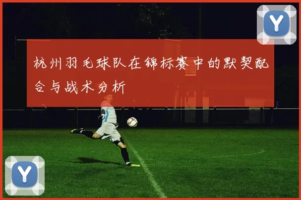 杭州羽毛球队在锦标赛中的默契配合与战术分析