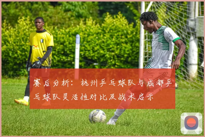 赛后分析：杭州乒乓球队与成都乒乓球队灵活性对比及战术启示