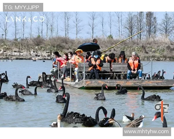 周磊专访：畅谈飞盘运动的发展与个人成长历程